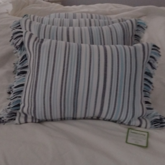 Southern Living Indoor Outdoor Pillows - Picture 1 of 4